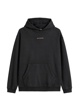 Picture of Hoodie relaxed with large back print