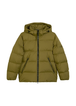 Picture of Regular puffer down jacket with detachable hood