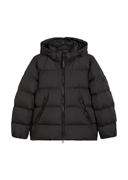 Picture of Regular puffer down jacket with detachable hood